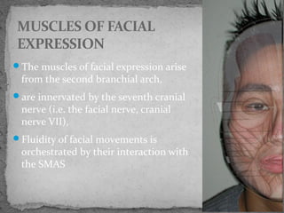 The muscles of facial expression arise
from the second branchial arch,
are innervated by the seventh cranial
nerve (i.e. the facial nerve, cranial
nerve VII),
Fluidity of facial movements is
orchestrated by their interaction with
the SMAS
MUSCLES OF FACIAL
EXPRESSION
 