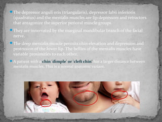 The depressor anguli oris (triangularis), depressor labii inferioris
(quadratus) and the mentalis muscles are lip depressors and retractors
that antagonize the superior perioral muscle groups.
They are innervated by the marginal mandibular branch of the facial
nerve.
The deep mentalis muscle permits chin elevation and depression and
protrusion of the lower lip. The bellies of the mentalis muscles have
variable proximities to each other.
A patient with a chin 'dimple' or 'cleft chin‘ has a larger distance between
mentalis muscles. This is a normal anatomic variant.
 