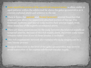 most superficial portion of the superficial temporal artery is often visible in
aged patients within the subdermal fat above the galea aponeurotica as it
courses cephalad above and anterior to the ear.
 Here it forms the parietal and frontal (anterior) arterial branches that
originate just above the uppermost attached portion of the ear. The
forehead, eyebrows and lateral scalp receive their arterial supply from
these branches of the superficial temporal artery.
There arc many anastomoses on the scalp between the bilateral superficial
temporal arteries. Because of this rich supply chain, the entire scalp tissue
remains viable even if one of these arteries is occluded.
This rich anastomotic network also explains why scalp surgery can be a
very bloody process.
 Surgical dissection at the level of the galea aponeurotica may serve to
avoid transection of the copious subdermal vascular supply.
 