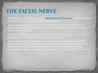 The facial nerve courses between the SMAS and the deep fascia before its branches
penetrate the lateral underside of the facial muscles.
Cranial nerve VII has two major roots, the smaller of which provides sensory
innervation and taste sensation to the anterior two-thirds of the tongue via the
chorda tympani branch.
 Sensory innervation to a portion of the external auditory meatus, soft palate, and
pharynx is also derived from this small facial nerve root.
The submaxillary, submandibular and lacrimal glands contain parasympathetic
fibers of the facial nerve that have secretory effects. In addition to the muscles of
facial expression , the buccinator, stapedius, posterior belly of the digastric,
stylohyoid and platysma muscles are all innervated by branches of the facial nerve.
THE FACIAL NERVE
 
