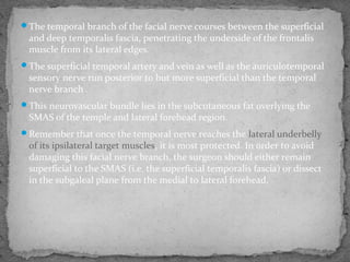 The temporal branch of the facial nerve courses between the superficial
and deep temporalis fascia, penetrating the underside of the frontalis
muscle from its lateral edges.
The superficial temporal artery and vein as well as the auriculotemporal
sensory nerve run posterior to but more superficial than the temporal
nerve branch .
This neurovascular bundle lies in the subcutaneous fat overlying the
SMAS of the temple and lateral forehead region.
Remember that once the temporal nerve reaches the lateral underbelly
of its ipsilateral target muscles, it is most protected. In order to avoid
damaging this facial nerve branch, the surgeon should either remain
superficial to the SMAS (i.e. the superficial temporalis fascia) or dissect
in the subgaleal plane from the medial to lateral forehead.
 