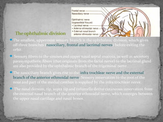 The smallest, uppermost sensory branch is the ophthalmic division, which gives
off three branches (nasociliary, frontal and lacrimal nerves) before exiting the
orbit.
 Sensory fibers to the sinuses and upper nasal septal mucosa, as well as secretory
parasympathetic fibers (that originate from the facial nerve) to the lacrimal gland
are also provided by the ophthalmic branch of the trigeminal nerve.
The nasociliary branch gives rise to the infra trochlear nerve and the external
branch of the anterior ethmoidal nerve. Sensory innervation to the root of the
nose and part of the medial canthus is supplied by the infra trochlear nerve.
 The nasal dorsum, tip, supra tip and columella derive cutaneous innervation from
the external nasal branch of the anterior ethmoidal nerve, which emerges between
the upper nasal cartilage and nasal bones.
Theophthalmicdivision
 