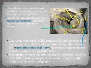Infraorbital nerve blocks offer simple
and effective anesthesia for much of the
cheek, lower eyelid and nose.
Lateral to the infraorbital foramen, the
zygomaticofacial nerve emerges to
innervate the skin of the malar
eminence.
• Cutaneous innervation of the temple and supratemporal scalp
region is provided by a third branch of the maxillary division,
the zygomaticotemporal nerve. It emerges from the lateral
orbital margin at the zygomatic bone.
• The superior alveolar and palatine nerves are deeper branches
of V2 that provide sensory innervation to the upper teeth,
palate, nasal mucosa, and gingiva
 
