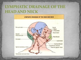 LYMPHATIC DRAINAGE OF THE
HEAD AND NECK
 