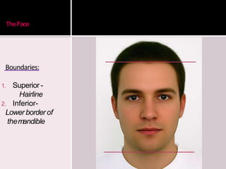 Face and scalp | PPTX