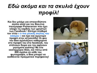 Εδώ ακόμα και τα σκυλιά έχουν προφίλ! Και δεν μιλάμε για οποιονδήποτε σκύλο αλλά για τον  Boo, ένα πανέμορφο  Pomeranian  που έχει κλέψει τις καρδιές των χρηστών των  Facebook  !  Κατέχει σταθερά τον τίτλο  «  ο πιο γλυκός σκύλος του κόσμου  »  και έχει και ομώνυμο προφίλ στην ιστοσελίδα! Οι φαν του  Boo  σχολιάζουν καθημερινά στο προφίλ του στο  facebook , του στέλνουν δώρα και του αφήνουν μηνύματα αγάπης! Με ένα εκατομμύριο  likes , και πάνω από 800 σχόλια σε κάθε του φωτογραφία, ο  Boo  μπορεί να αισθάνεται πραγματικά περήφανος! 