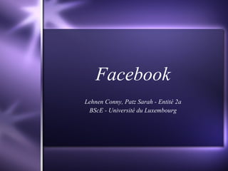 Facebook Lehnen Conny, Patz Sarah - Entité 2a BScE - Université du Luxembourg 