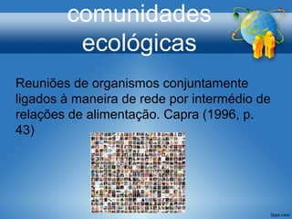 comunidades
ecológicas
Reuniões de organismos conjuntamente
ligados à maneira de rede por intermédio de
relações de alimentação. Capra (1996, p.
43)
 