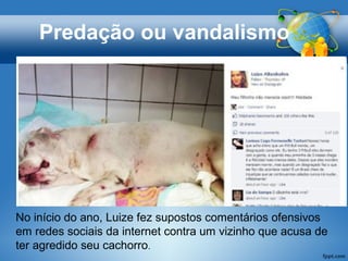 No início do ano, Luize fez supostos comentários ofensivos
em redes sociais da internet contra um vizinho que acusa de
ter agredido seu cachorro.
Predação ou vandalismo
 