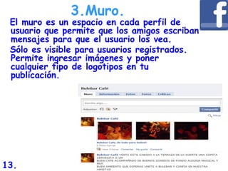 El muro es un espacio en cada perfil de
usuario que permite que los amigos escriban
mensajes para que el usuario los vea.
Sólo es visible para usuarios registrados.
Permite ingresar imágenes y poner
cualquier tipo de logotipos en tu
publicación.
3.Muro.
13.
 
