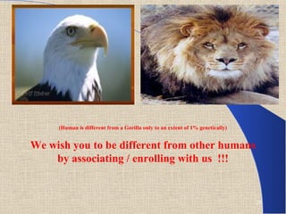 (Human is different from a Gorilla only to an extent of 1% genetically)


We wish you to be different from other humans
    by associating / enrolling with us !!!


                                                                               20
 