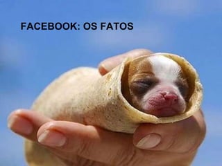 FACEBOOK: OS FATOS 