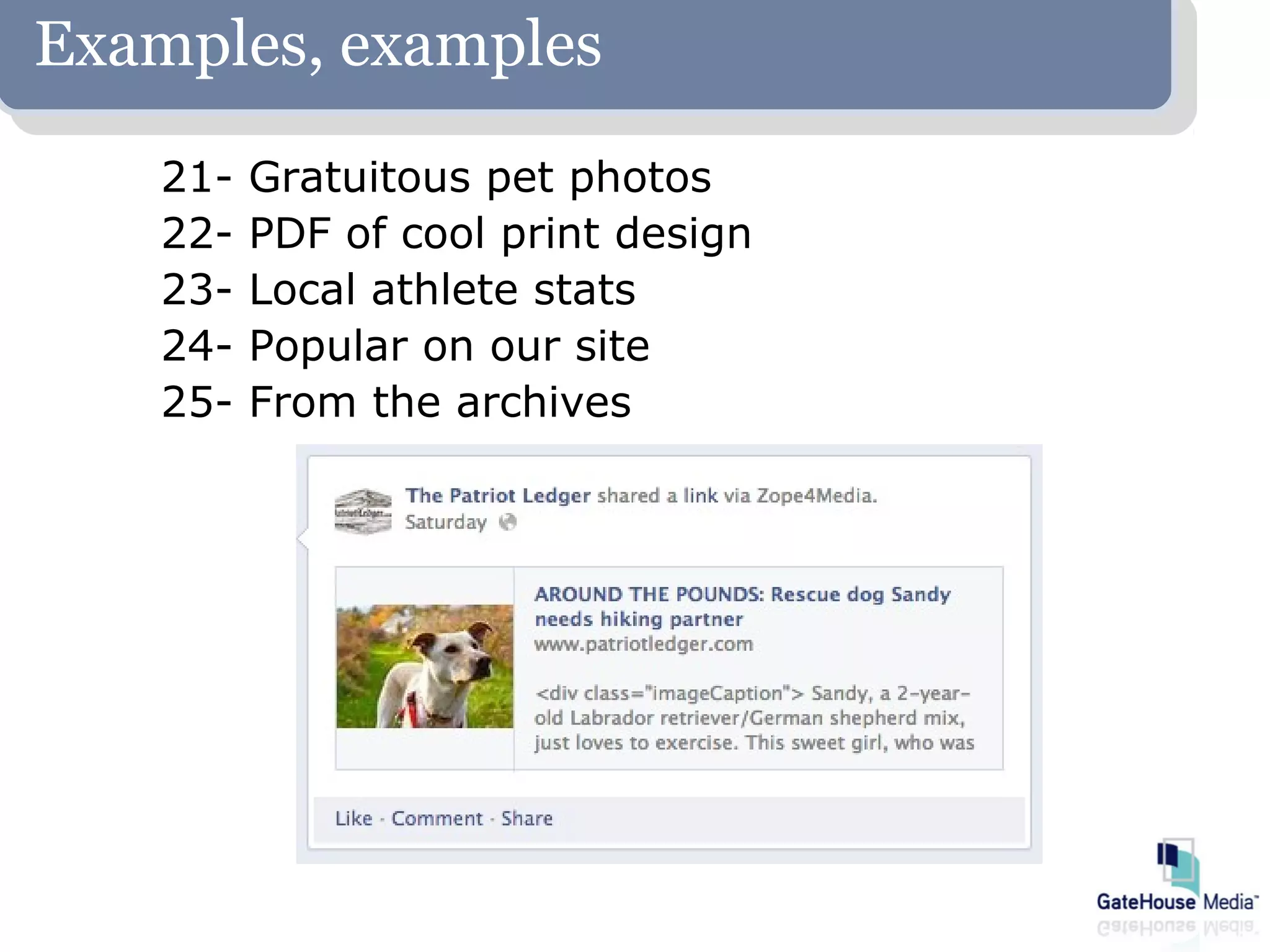 Examples, examples
    21-   Gratuitous pet photos
    22-   PDF of cool print design
    23-   Local athlete stats
    24-   Popular on our site
    25-   From the archives
 