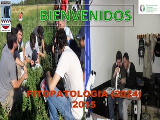 FITOPATOLOGIA (2024)
2015
 