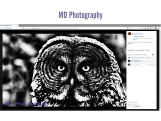 MD Photography
 