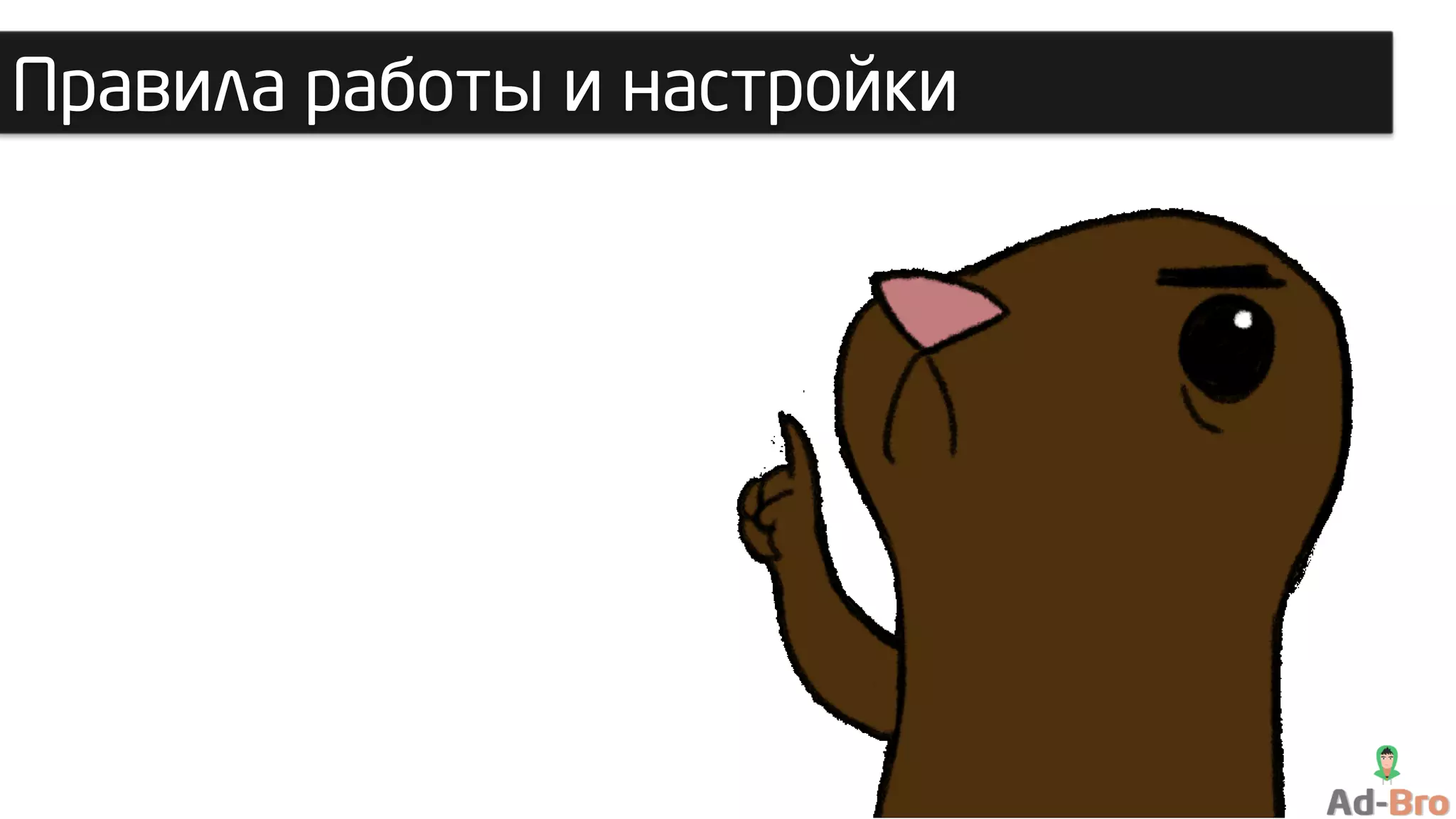 Правила работы и настройки
 