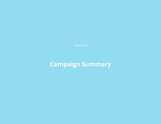 Campaign Summary
 