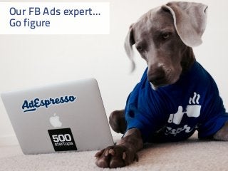 Our FB Ads expert…
Go figure
 