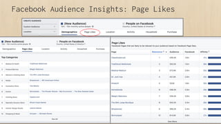Facebook Audience Insights: Page Likes
 