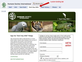 Questions for considerationPersonal profile strategyWhy you need itWhat makes you a thought leader?What do people always want to stop and talk with you about?Topic areas of discussionWhich tabs you will populate?Who you will target?How will you measure success?