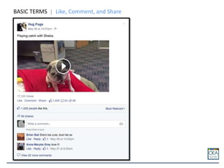 BASIC TERMS Like, Comment, and Share
 