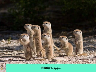 b Impliquer les équipes
 