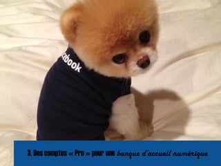 3. Des comptes « Pro » pour une banque d’accueil numérique
 
