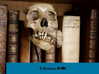 4. Contenus en folie
 