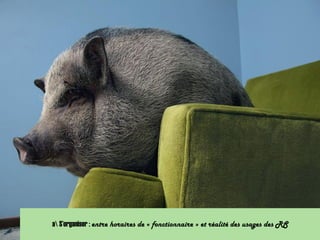 a S’organiser : entre horaires de « fonctionnaire » et réalité des usages des RS
 