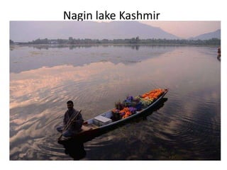 Nagin lake Kashmir
 