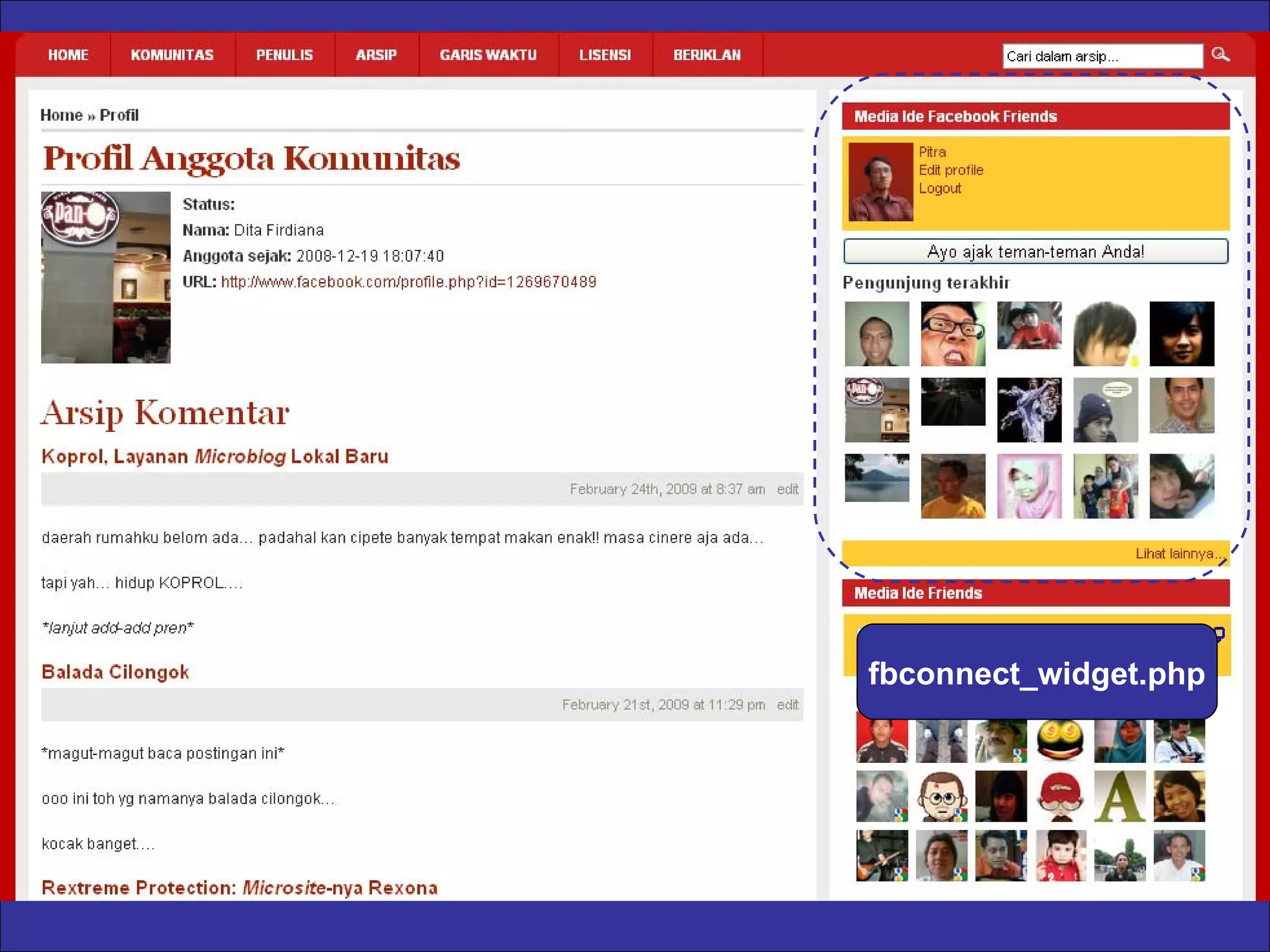 fbconnect_widget.php 