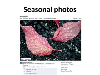 Seasonal photos
 