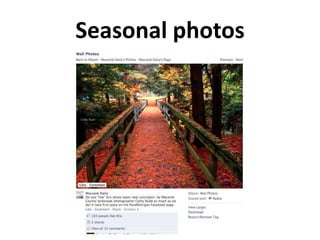 Seasonal photos
 