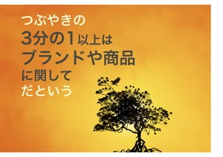 つぶやきの
3分の1以上は
ブランドや商品
に関して
だという
 