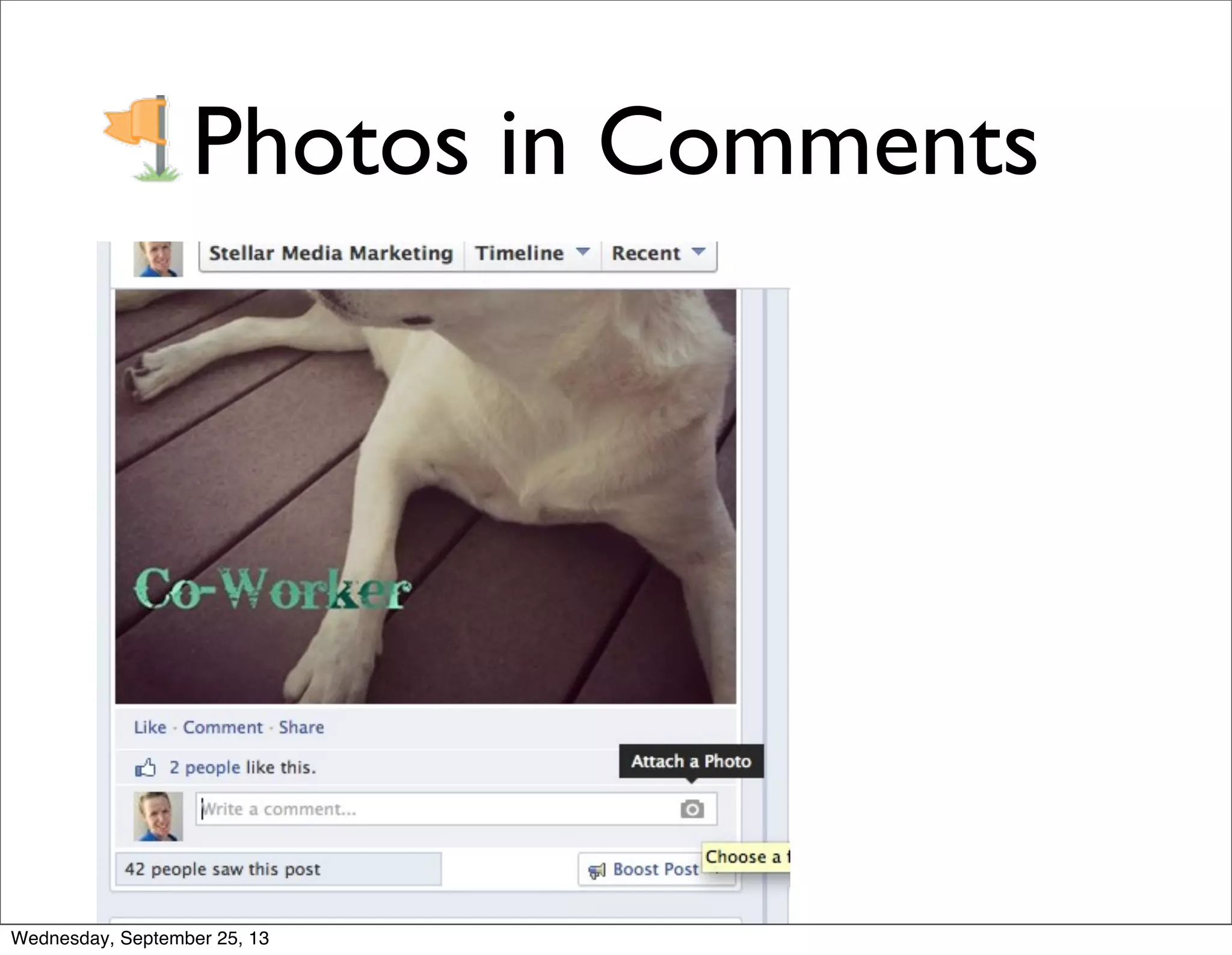 Photos in Comments
Wednesday, September 25, 13
 