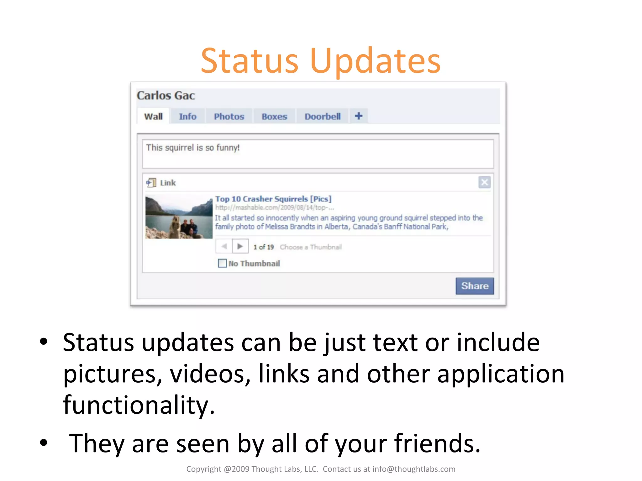 Status Updates Status updates can be just text or include pictures, videos, links and other application functionality. They are seen by all of your friends. Copyright @2009 Thought Labs, LLC.  Contact us at info@thoughtlabs.com 