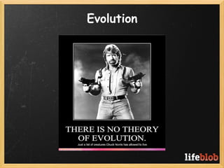 Evolution
 