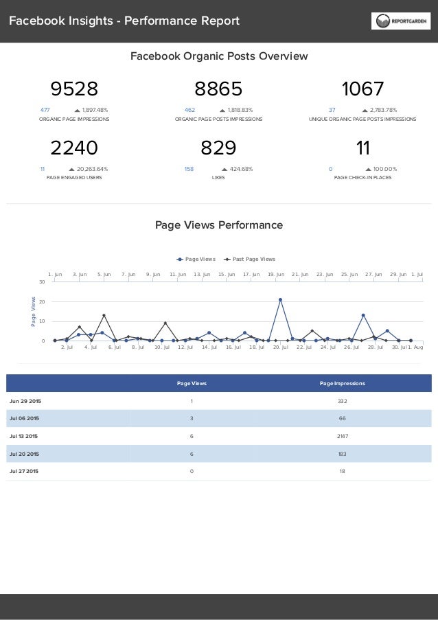 Facebook Insights Reports