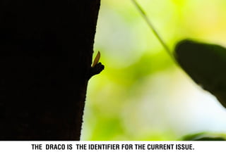 The draco is the identifier for the current issue.
 