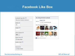 Facebook Like Box

 