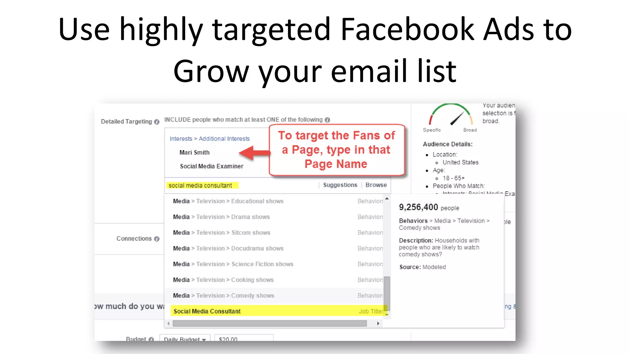 Use highly targeted Facebook Ads to
Grow your email list
 