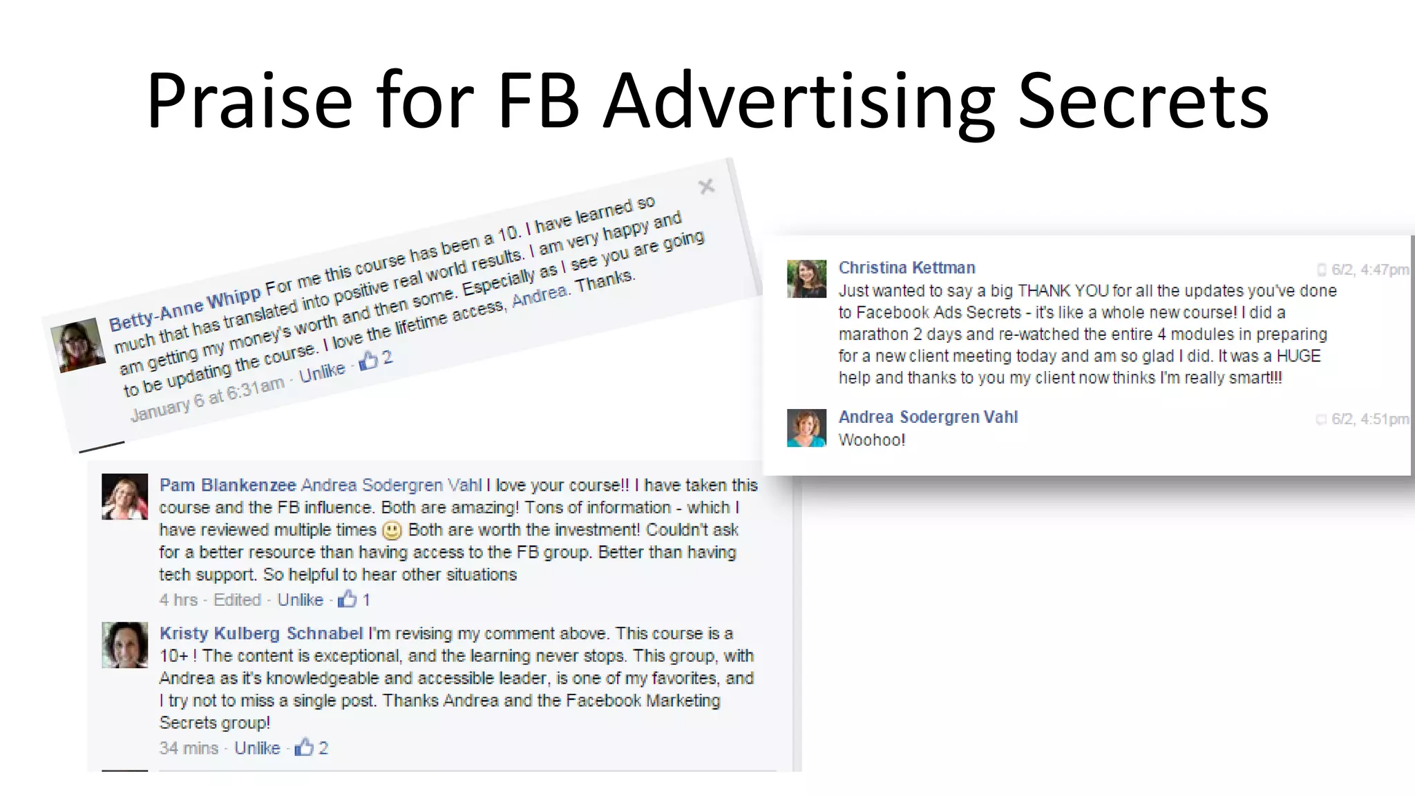 Praise for FB Advertising Secrets
 