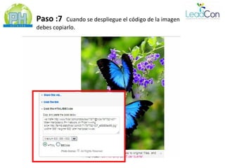 Paso :7    Cuando se despliegue el código de la imagen
debes copiarlo.
 