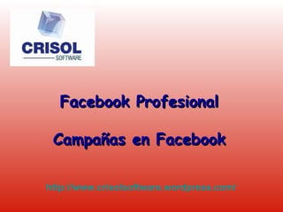 Facebook Profesional Campañas en Facebook http :// www.crisolsoftware.wordpress.com / 