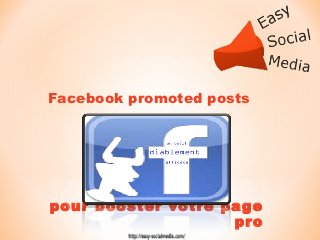Facebook promoted posts




pour booster votre page
                    pro
 