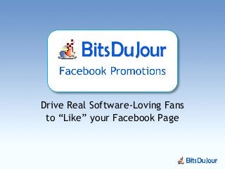Drive Real Software-Loving Fans
to “Like” your Facebook Page
 