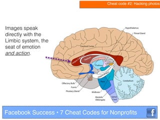 Images speak
directly with the
Limbic system, the
seat of emotion
and action.
Facebook Success • 7 Cheat Codes for Nonproﬁ...
