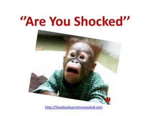 ‘’Are You Shocked’’http://facebooksecretsrevealed.com