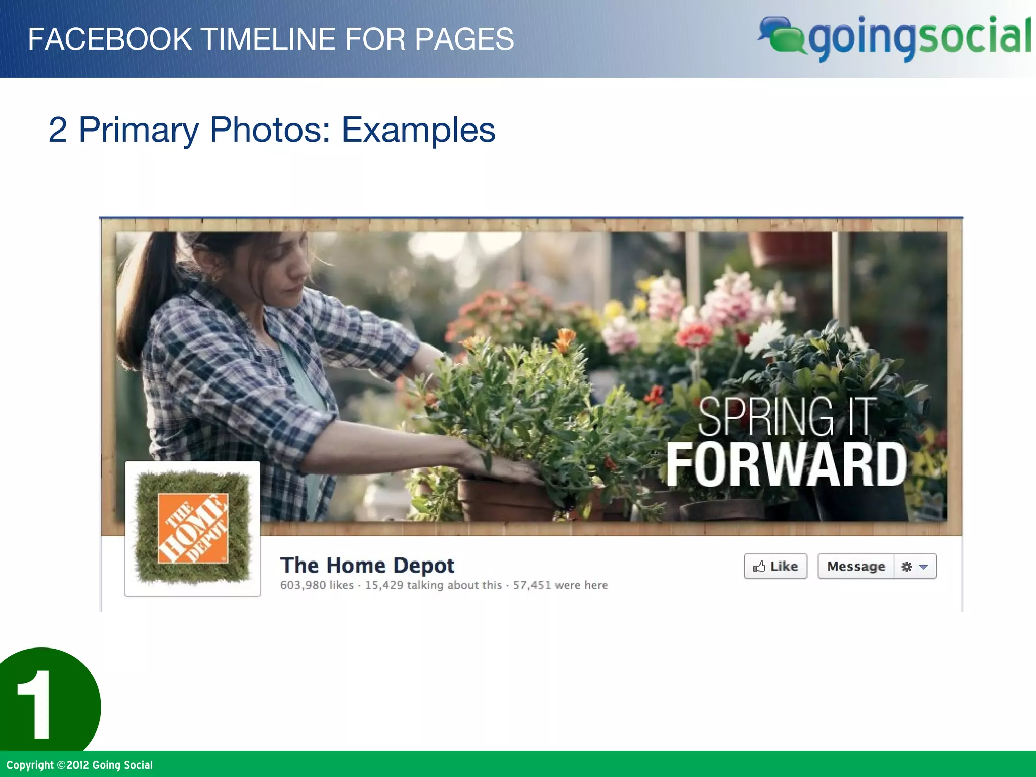 FACEBOOK TIMELINE FOR PAGES


        2 Primary Photos: Examples




1
Copyright ©2012 Going Social
 