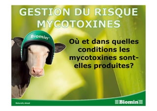 Où et dans quelles
conditions les
mycotoxines sont-
elles produites?
 